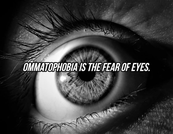 Facts About Eyes (20 pics)