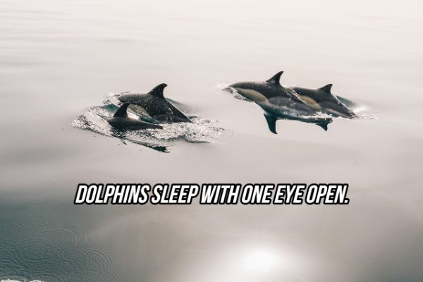 Facts About Eyes (20 pics)