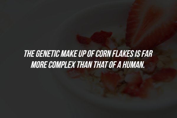 Scary Facts (15 pics)