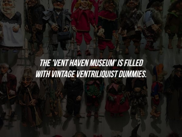 Scary Facts (15 pics)