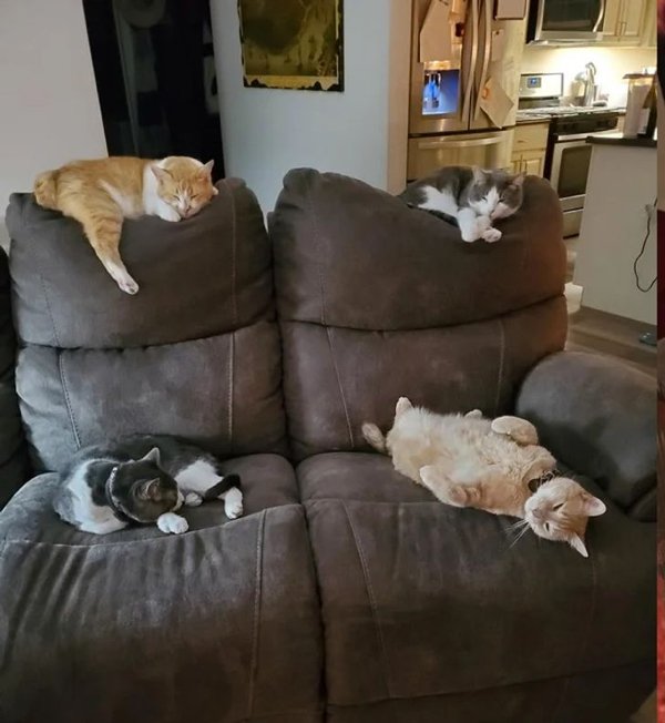 Wholesome Pictures (20 pics) Wholesome Pictures (20 pics)