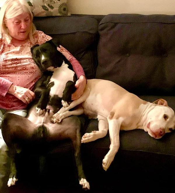 Wholesome Pictures (20 pics) Wholesome Pictures (20 pics)