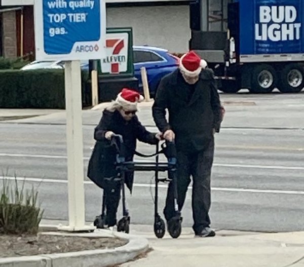 Wholesome Pictures (20 pics)