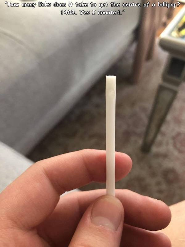 It's A Pure Talent (38 pics)