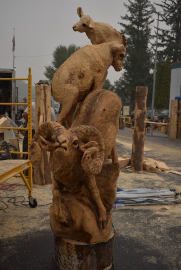 It's A Pure Talent (38 pics)
