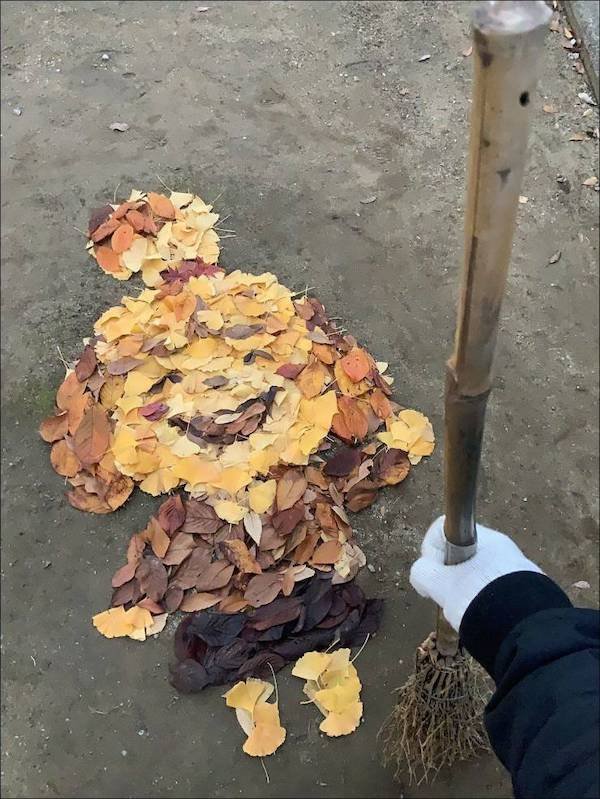 It's A Pure Talent (38 pics)