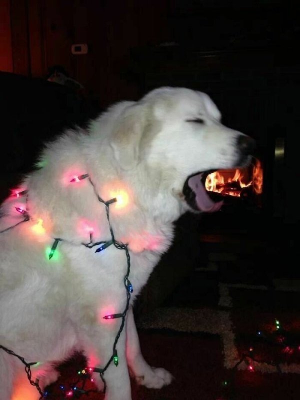 Acid Picdump. Part 1 (39 pics)