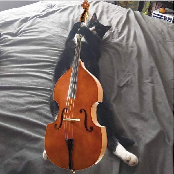 Acid Picdump. Part 1 (39 pics)