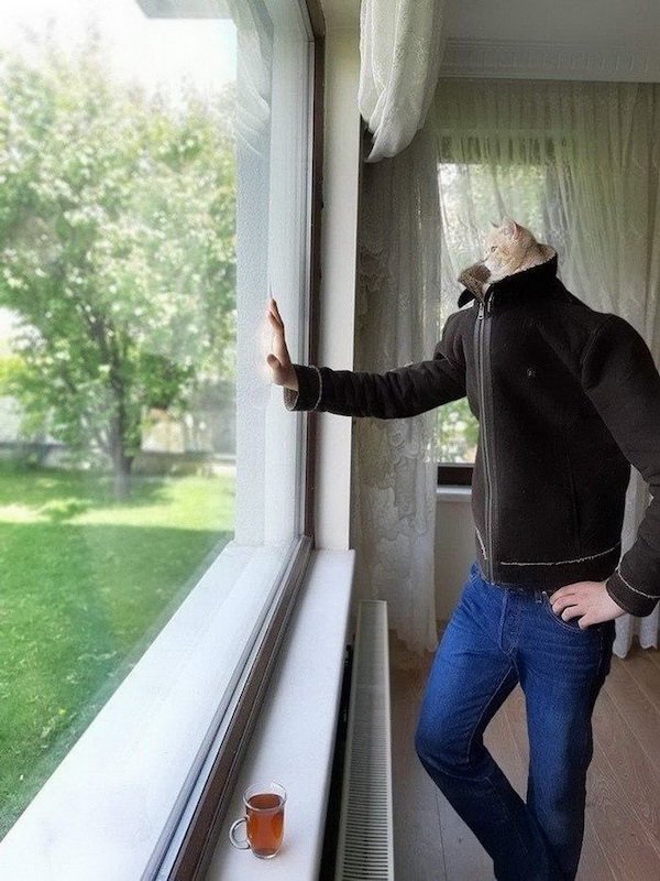Acid Picdump. Part 1 (39 pics)
