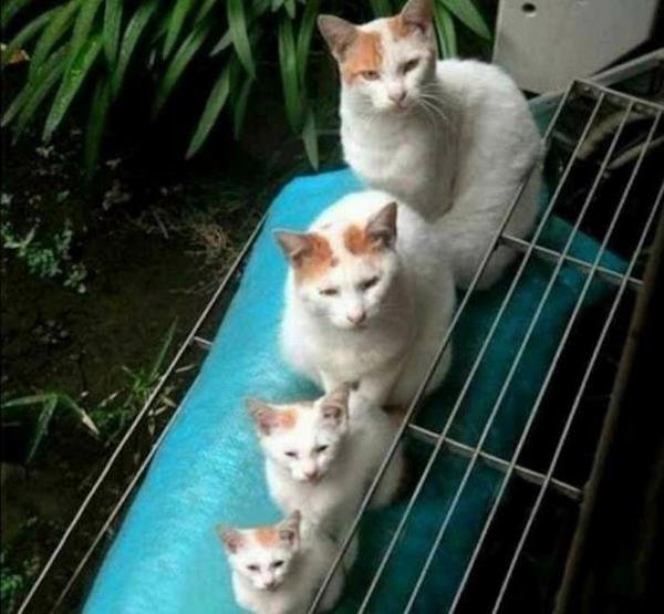 Acid Picdump. Part 2 (39 pics)