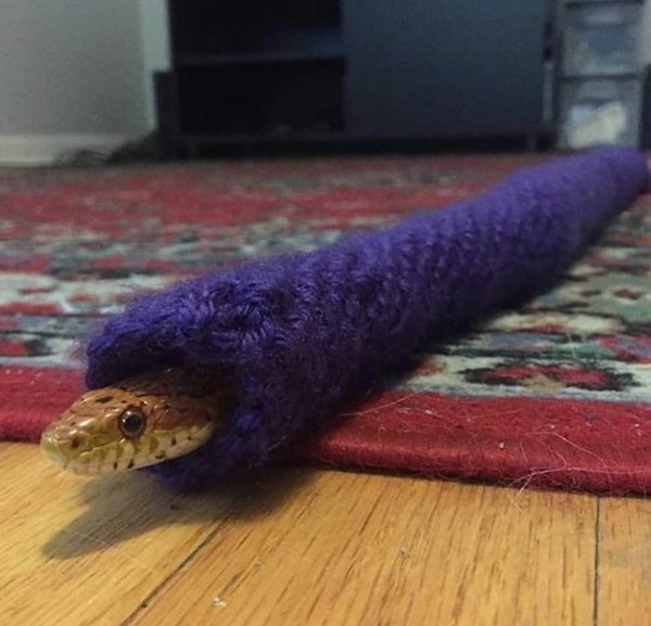 Acid Picdump. Part 2 (39 pics)