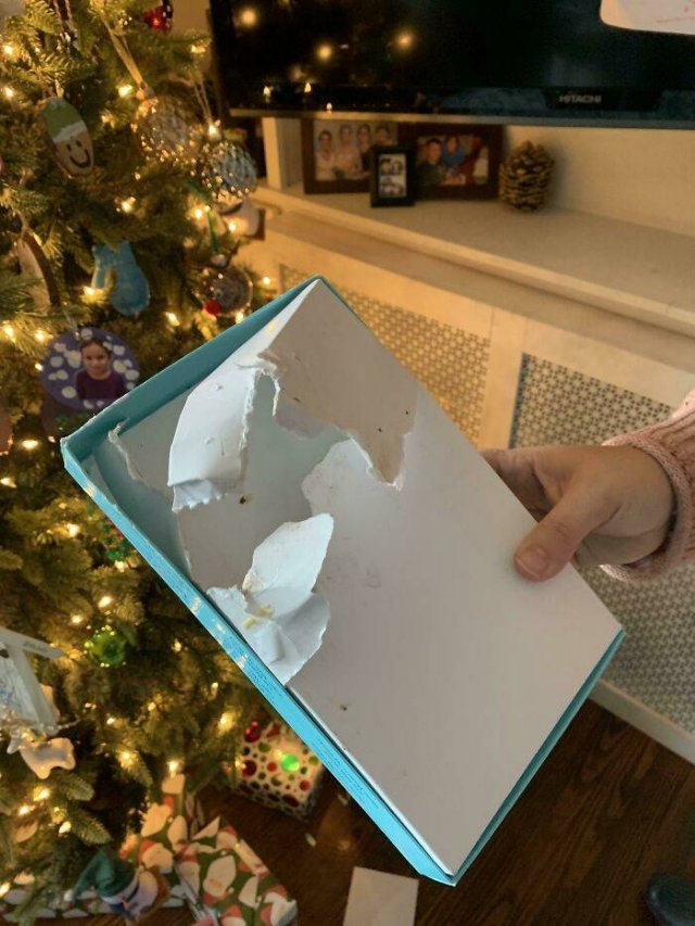Christmas Fails (38 pics)