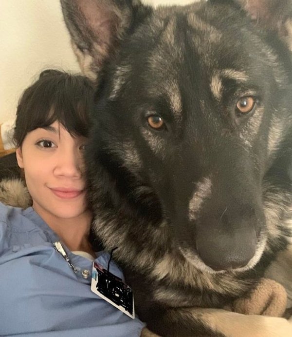 Giant Pets (19 pics)