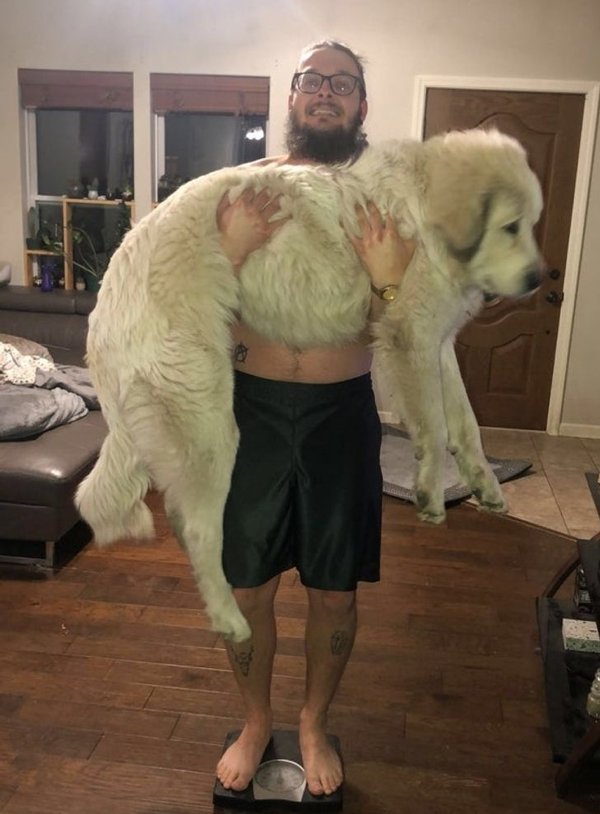 Giant Pets (19 pics)