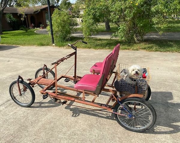 Interesting Findings From Second Hand Shops (29 pics)