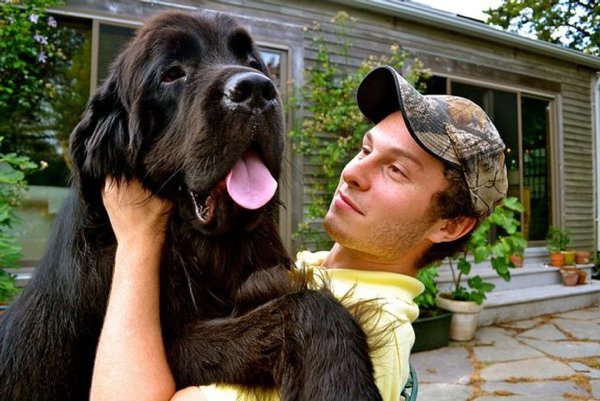 Giant Pets (19 pics)