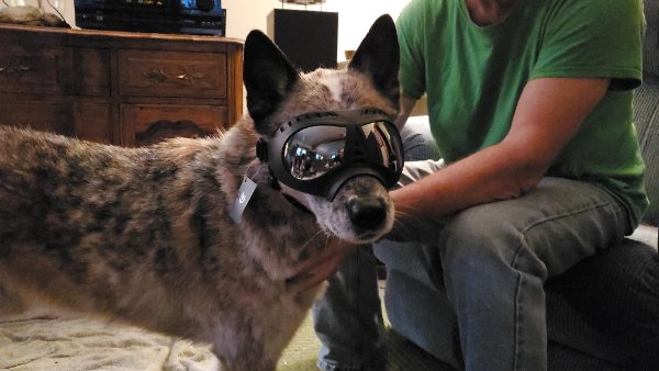 Awesome Things (29 pics)
