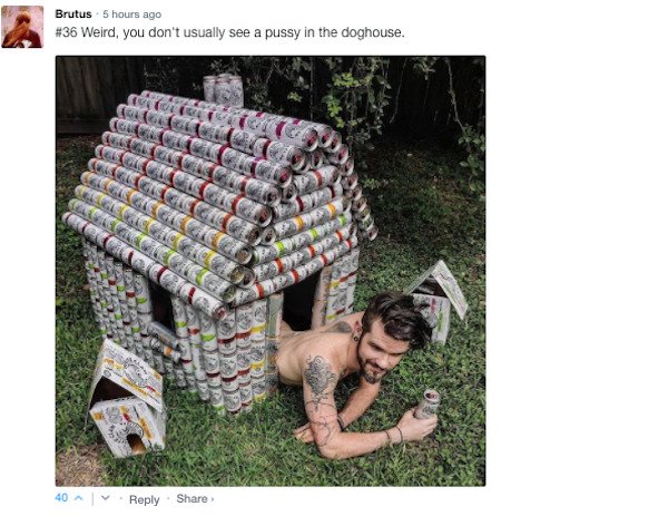 Funny Comments (43 pics)