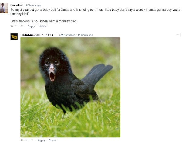 Funny Comments (43 pics)