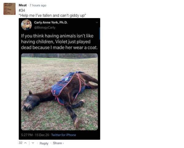 Funny Comments (43 pics)