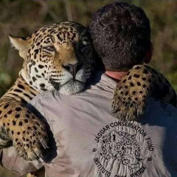 Acid Picdump. Part 2 (62 pics)