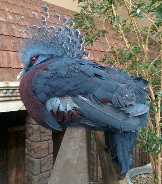 Animal World Pictures (25 pics) Animal World Pictures (25 pics)