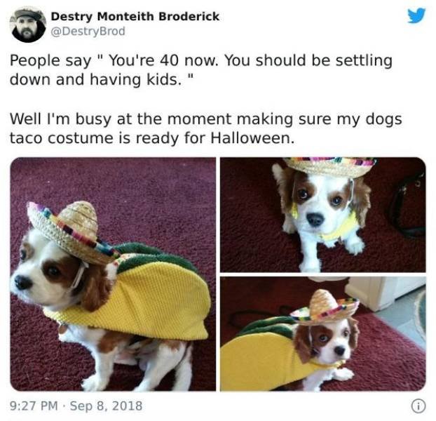 People Who Don't Want To Have Children Tweets (32 pics)