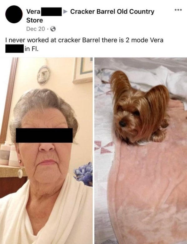 Old People And Internet (27 pics)