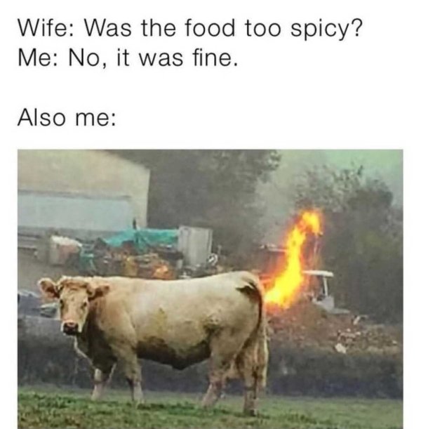 Married Men Humor (28 pics)