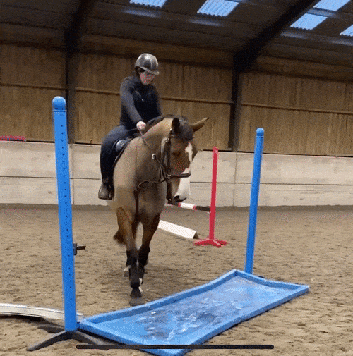 Acid Gifdump, January 5 (25 gifs)