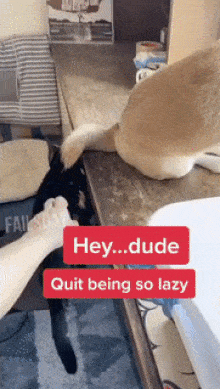 Acid Gifdump, January 5 (25 gifs)