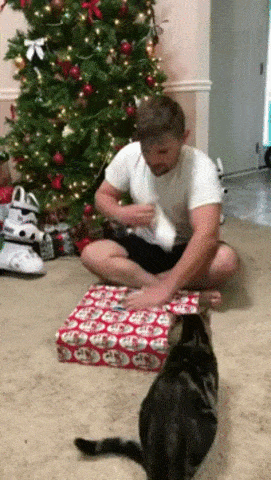 Acid Gifdump, January 5 (25 gifs)