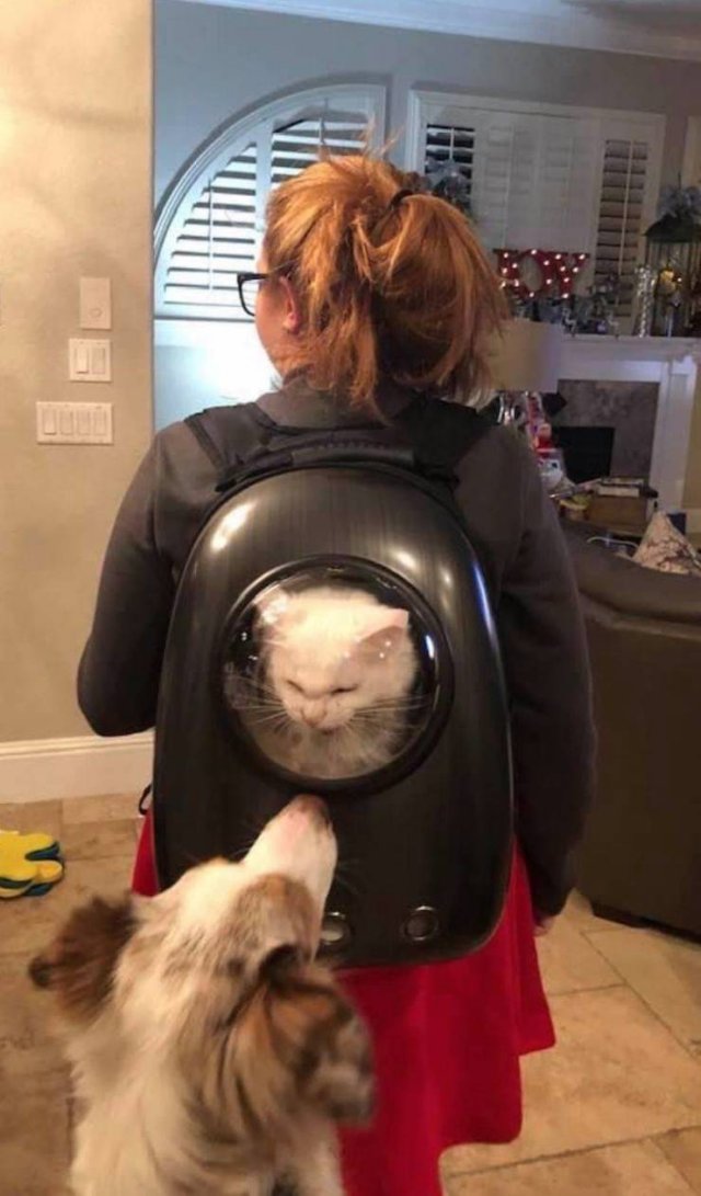 Acid Picdump. Part 1 (91 pics)