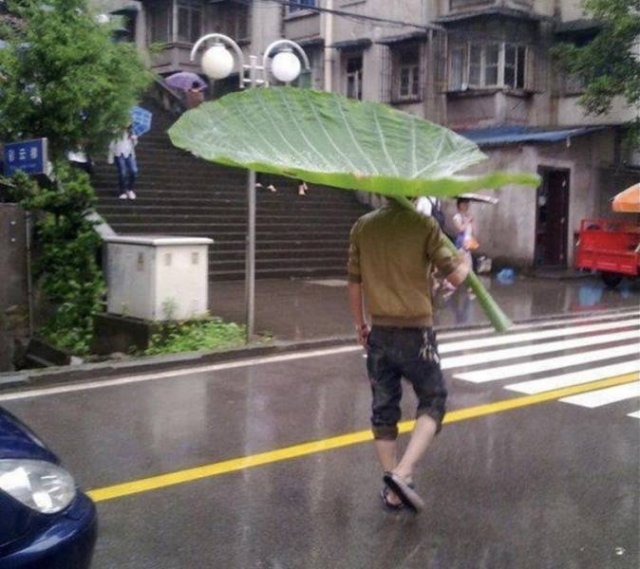 Acid Picdump. Part 1 (91 pics)