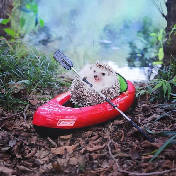 Acid Picdump. Part 1 (91 pics)