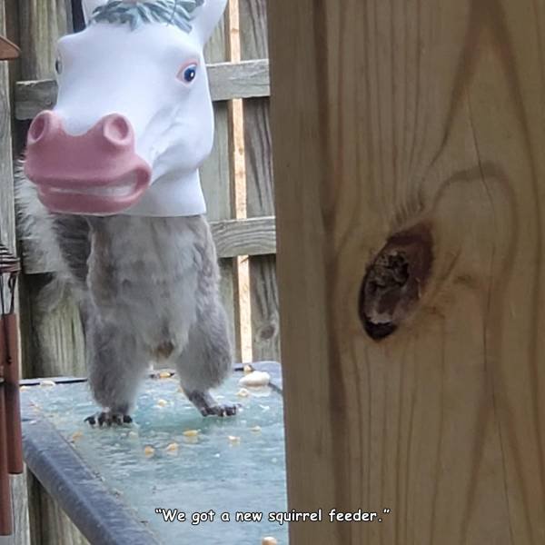 Acid Picdump. Part 1 (91 pics)