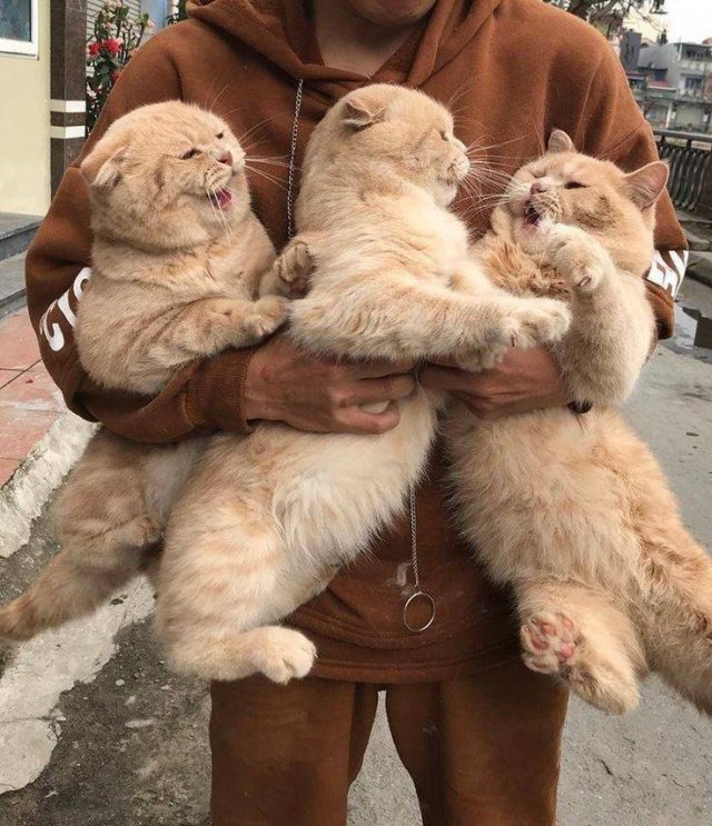 Acid Picdump. Part 1 (91 pics)