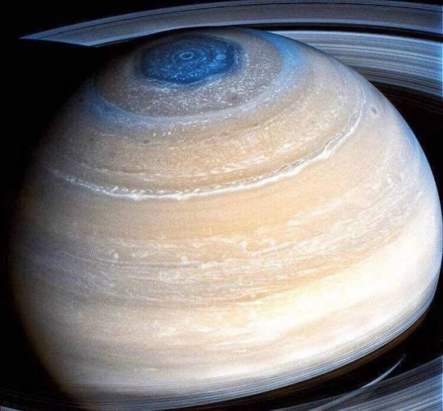 Amazing Pictures (43 pics)