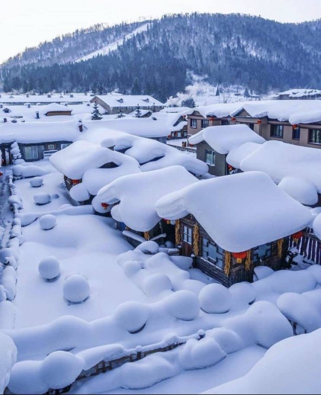 Amazing Pictures (43 pics)