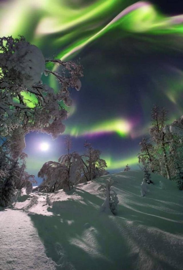 Amazing Pictures (43 pics)