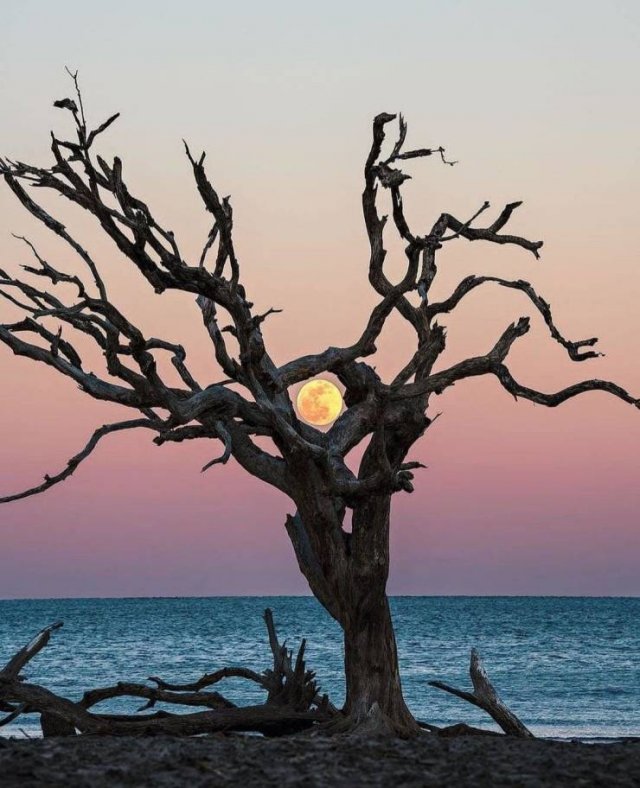 Amazing Pictures (43 pics)
