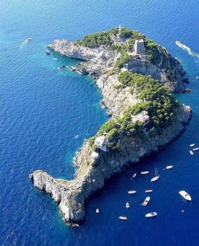 Amazing Pictures (43 pics)