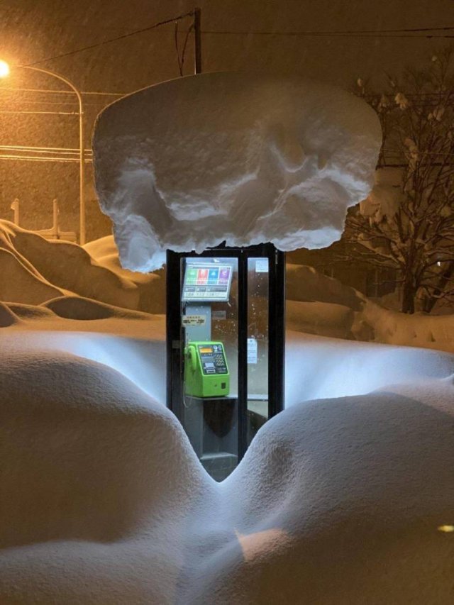 Amazing Pictures (43 pics)