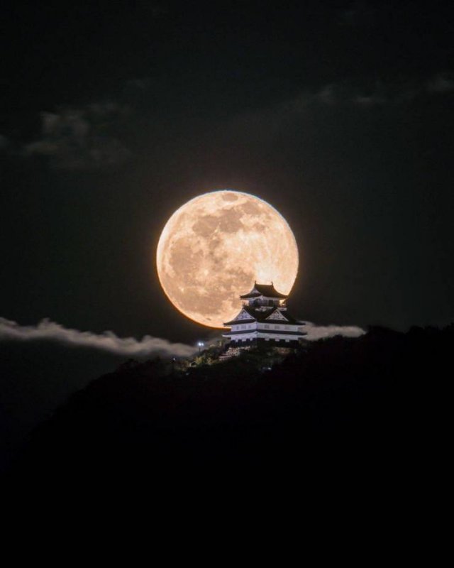 Amazing Pictures (43 pics)