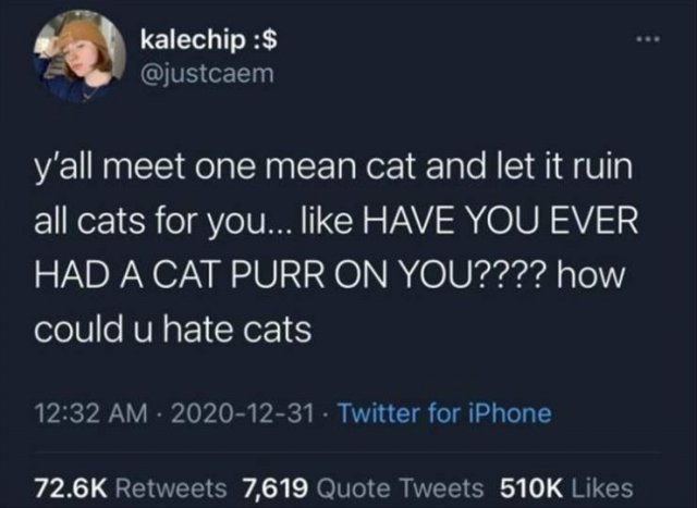 Funny Tweets (26 pics)