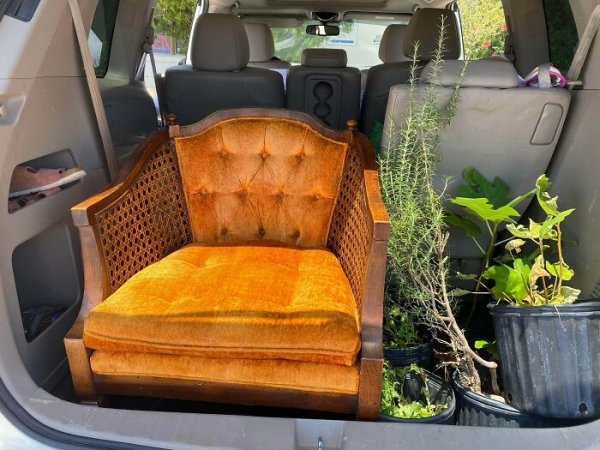 Thrift Shop Treasures (43 pics)