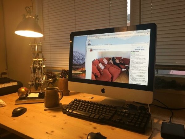 Thrift Shop Treasures (43 pics)