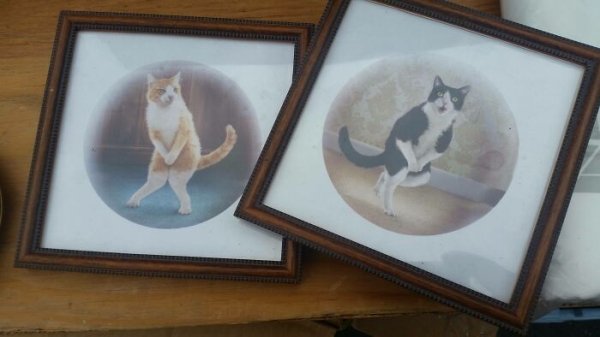 Thrift Shop Treasures (43 pics)