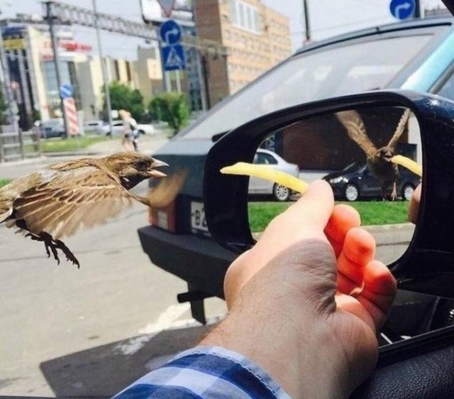 Acid Picdump. Part 1 (55 pics)