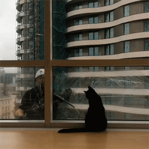Acid Gifdump, January 6 (25 gifs)